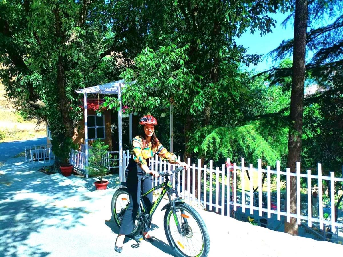 Aaroham Resort Shimla ! Luxury Cottage By Aamod Group 외부 사진