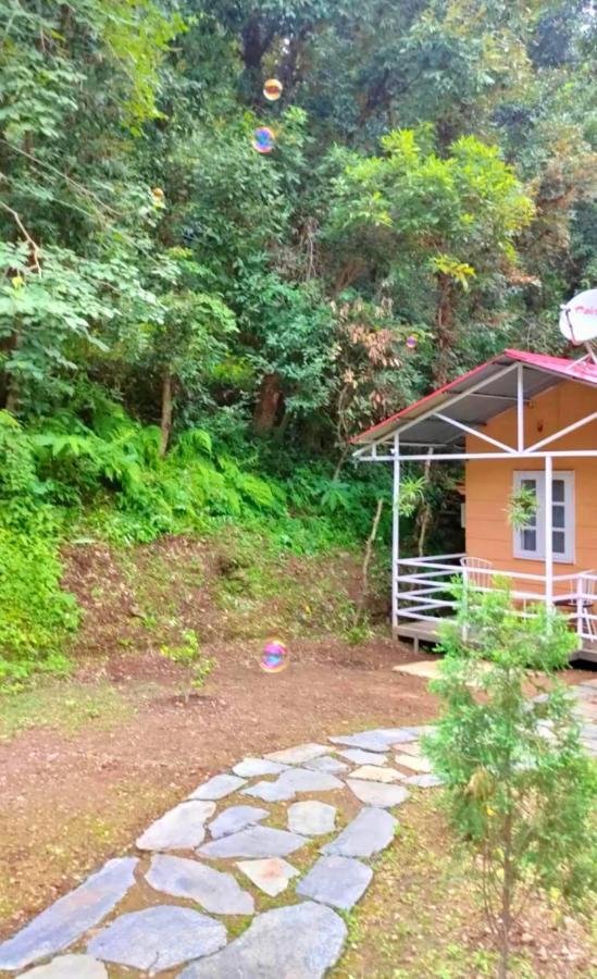 Aaroham Resort Shimla ! Luxury Cottage By Aamod Group 외부 사진