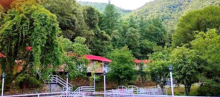 Aaroham Resort Shimla ! Luxury Cottage By Aamod Group 외부 사진